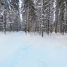 Skiwalk. Health path.