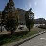 Zmaj Jovina Street Novi Sad 1