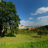 Prague Petrin