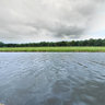 Pier at the river Ems