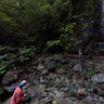 Madeira Island - Levada do Folhadal