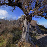 Madeira Island - Pico das Pedras