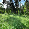 high rope garten kramsach tyrol
