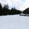 Ski road to Bansko