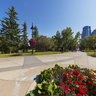 Prince's Island Park - flowers