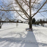 Confederation Park, winter wonderland