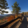 Bryce Canyon Overlook In Morning Light, Bryce Canyon National Park, Utah, USA