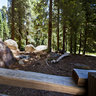 Giant Sequoias near the General Grant Tree, Sequoia National Park, California USA