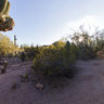 Sonoran Desert Trail, Desert Botanical Garden, Phoenix, Arizona USA