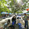 Yuen Long Tai Tong Laichee Garden