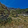 Cala Tuent2