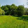 Willow Tree, Totteridge Green