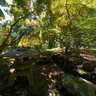 The Japanese Garden, S. Mary Grace Burns Arboretum