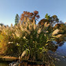Claypit Creek, Hartshorne Woods, New Jersey