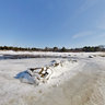 Frozen Salt Marsh, Spermaceti Cove, Sandy Hook, NJ,