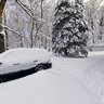 More Snow, Hartshorne Woods, Monmouth County, New Jersey