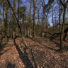 Rezerwat 