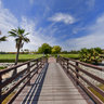 Safa Park Lake Bridge