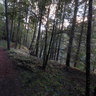 Upper Rogue River Trail