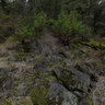 Rogue River - Rainie Falls (flooded)