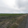 OC&E Woods Line State Trail (MP 6)
