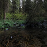 Wood River Headwaters