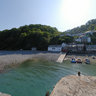Clovelly Harbour