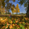 October Day