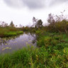 Kozenka river, Barskaya, aug2010