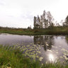 Kozenka, Parashkin