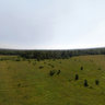 bird's fly over russian backwoods