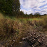 Kozenka, Andreevskaya, beaver's dam