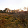 Autumn in the field near Ivan'kovskoe storage pond