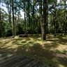 Bosque Do Silêncio