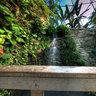 Botanical Center