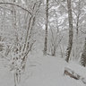 Obninsk Central park
