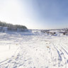 Winter forest