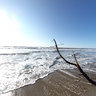 Grosseto-Marina di Alberese-