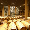 Castiglione della Pescaia-Cellar Antinori-Le Mortelle-Barriccaia-