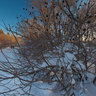 Winter in Tallinn