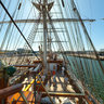 The full rigged ship Christian Radich