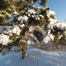 Winter in Tallinn