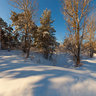 Winter in Tallinn