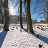 Toompark