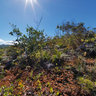 Anchorage New Caledonia Carenage