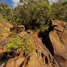 Waterfall New Caledonia Pepite Rivier Prony