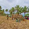 Lifou Missionary Arrival