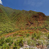 Dumbea Tumble Gorge New Caledonia
