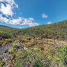 Wildflowers New Caledonia Riviere des Kaoris