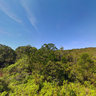 Trekking New Caledonia GRNC1 Fern Glen